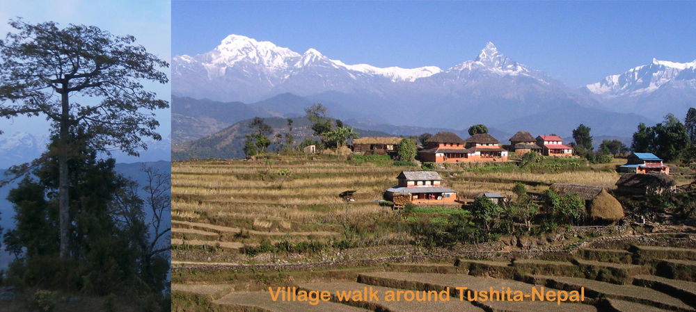 Tushita Nepal Yoga Retreat Center Hotel Pokhara Exterior photo